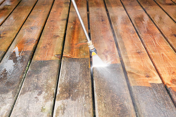 Best Pre-Holiday Cleaning  in Mcclure, PA